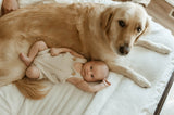 Sniffs, Snuggles & Siblinghood: Helping Your Pup Welcome Baby Home