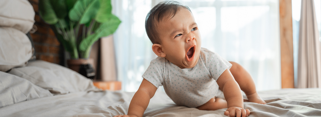 Baby Developmental Milestones & Sleep Regressions