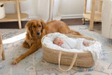 7 Steps to Establish a Daily Routine with a Newborn