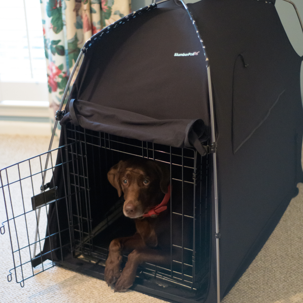 SlumberPod Pet & Accessories